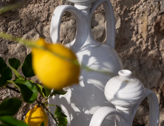 Zitrone und Gießkanne im Garten des Ansitz Romani – Tramin, Südtirol