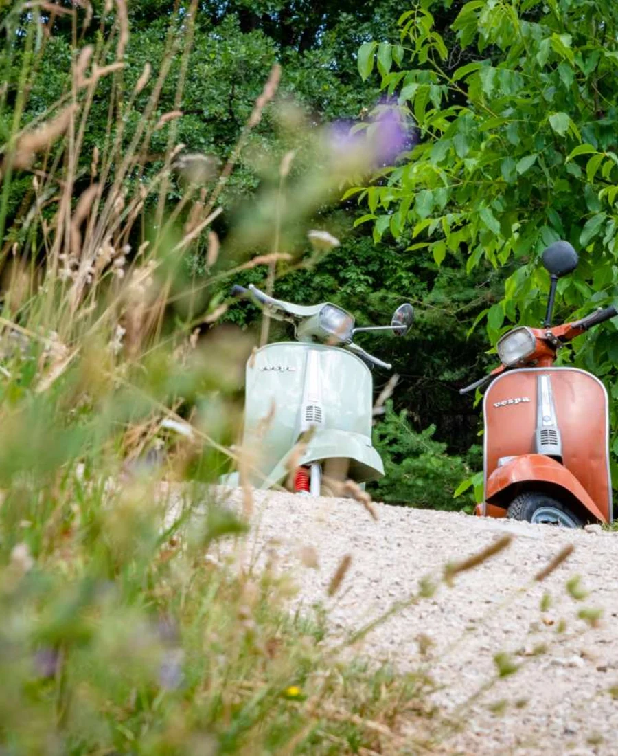 Vespa-Ausflug in den Weinbergen von Tramin – Urlaub im Ansitz Romani, Südtirol