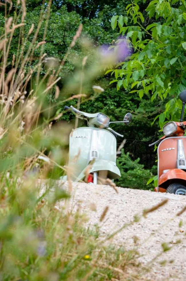 Vespa-Ausflug in den Weinbergen von Tramin – Urlaub im Ansitz Romani, Südtirol