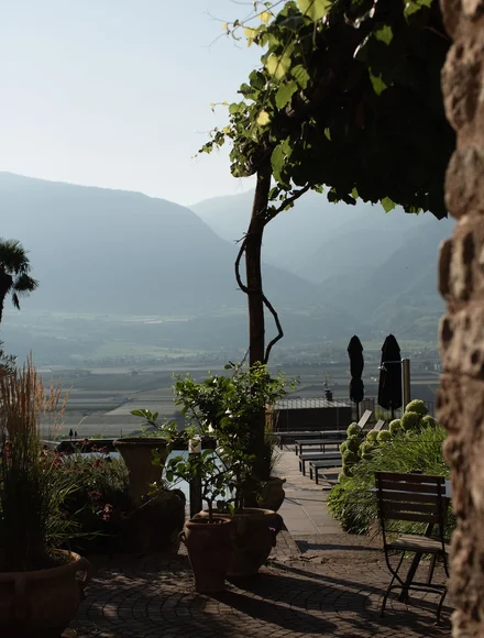 Terrassenplatz unter Weinlaub im Ansitz Romani – Hotel in Tramin, Südtirol