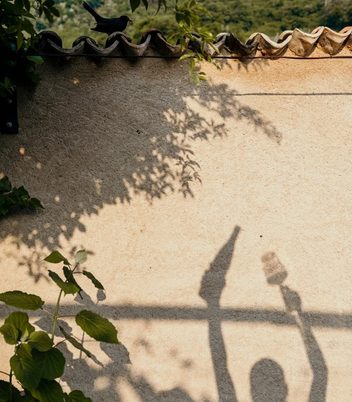 Schattenspiel an der Mauer des Ansitz Romani – Hotel in Tramin, Südtirol