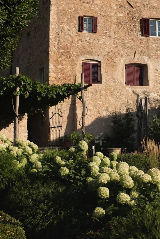Historische Hausmauer mit Hortensien im Ansitz Romani – Tramin, Südtirol