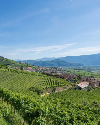 Weinberge an der Südtiroler Weinstraße bei Tramin – Urlaub im Ansitz Romani