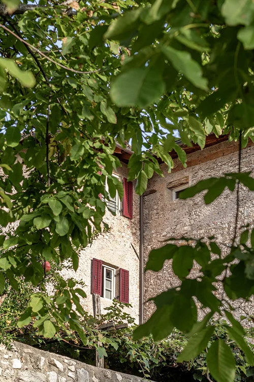 Blick durch die Bäume auf den Ansitz Romani – Hotel in Tramin, Südtirol