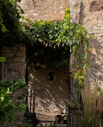 Steinbogen mit Weinlaub im Garten des Ansitz Romani – Tramin, Südtirol