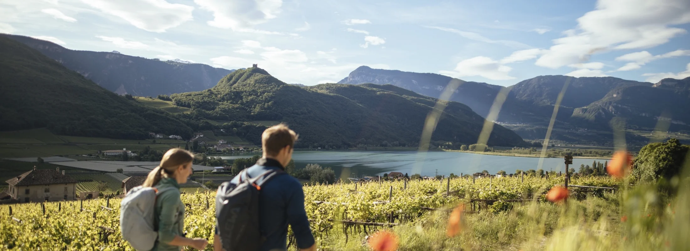 Wanderung am Kalterer See – Aktivurlaub mit dem Ansitz Romani in Tramin
