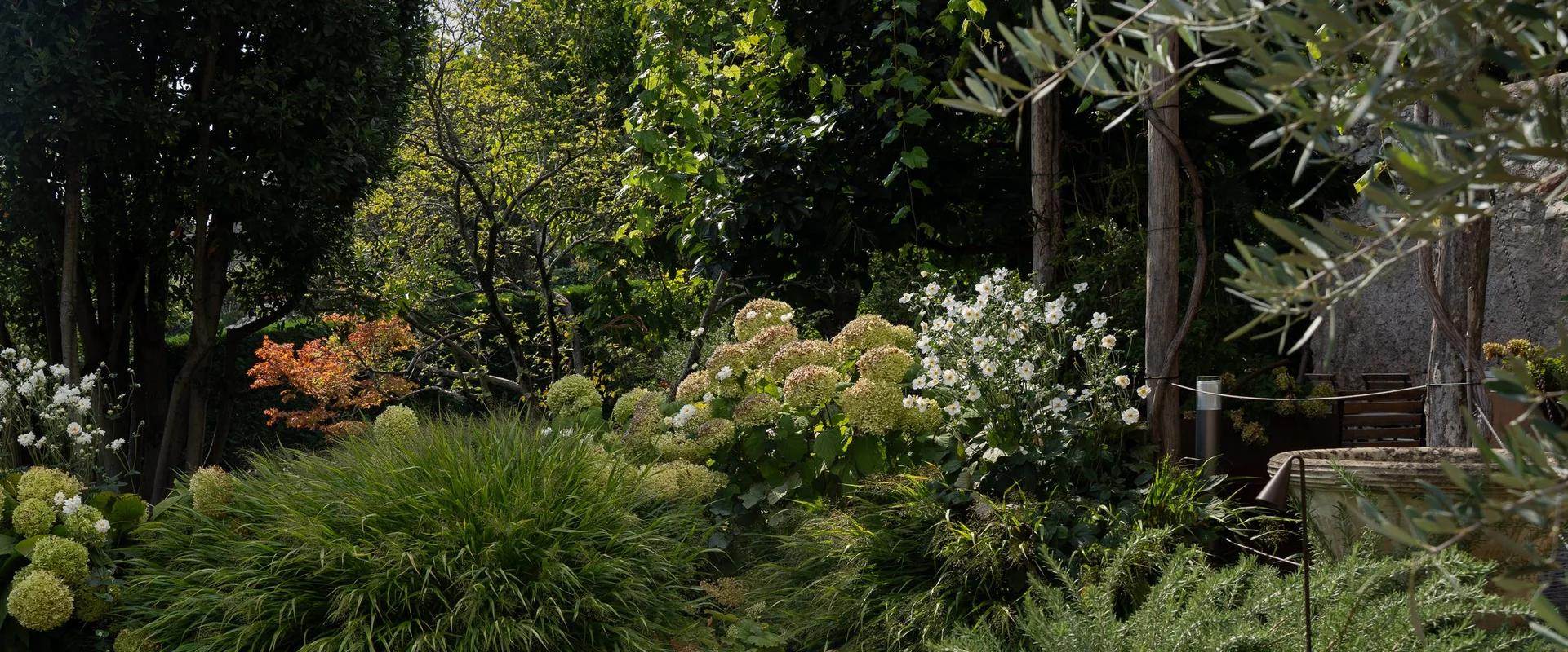 Bepflanzter Garten des Ansitz Romani mit Palmen – Hotel in Tramin, Südtirol