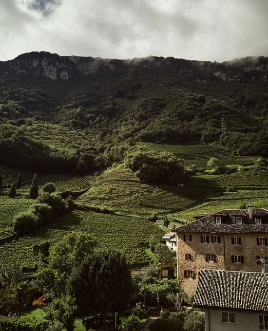 Weinberge und Berge bei Tramin in Südtirol – Ansitz Romani